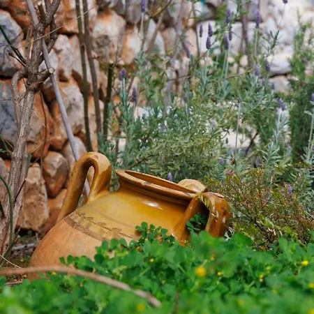 Hotel Lithos Stone